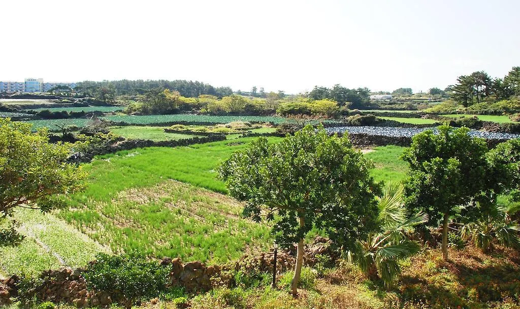 Alaforet Pension Jeju 0*,